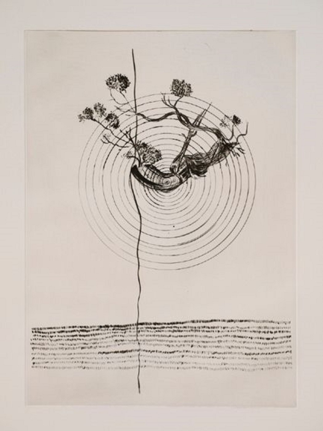 giuseppe-penone-musical-transcription-of-the-structure-of-trees-2012